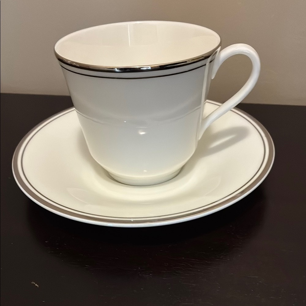 Royal Doulton Platinum Concord Teacup and Saucer
